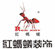 红蚂蚁装饰